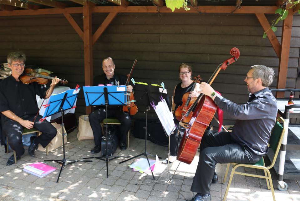 Forest String Quartet