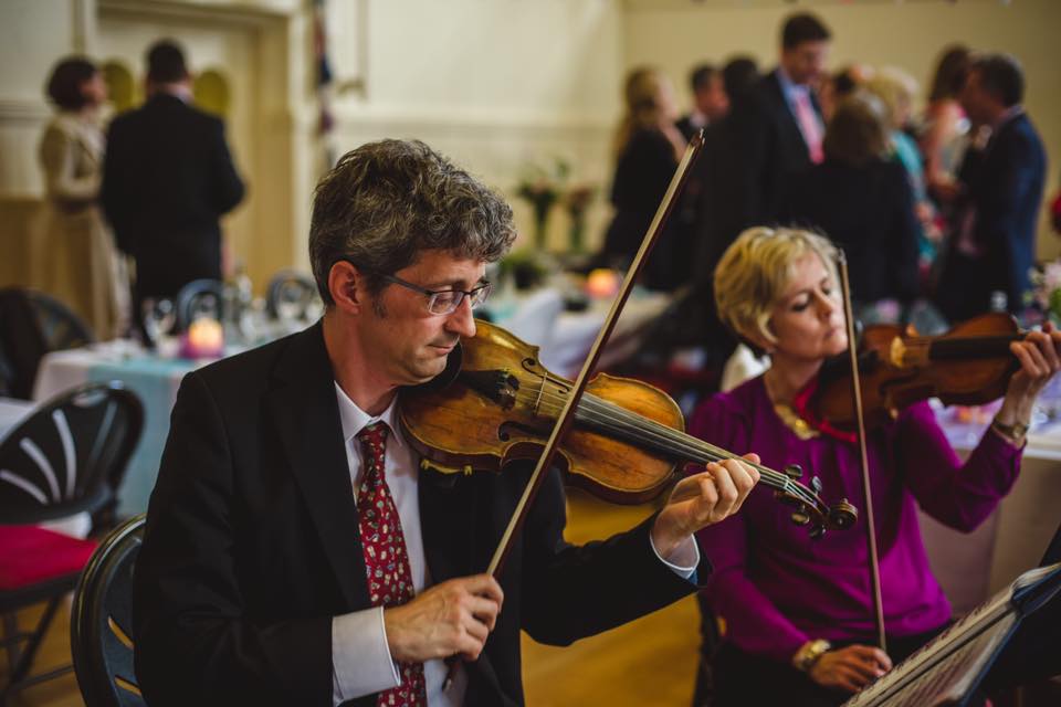 Forest String Quartet