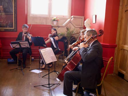 Forest String Quartet