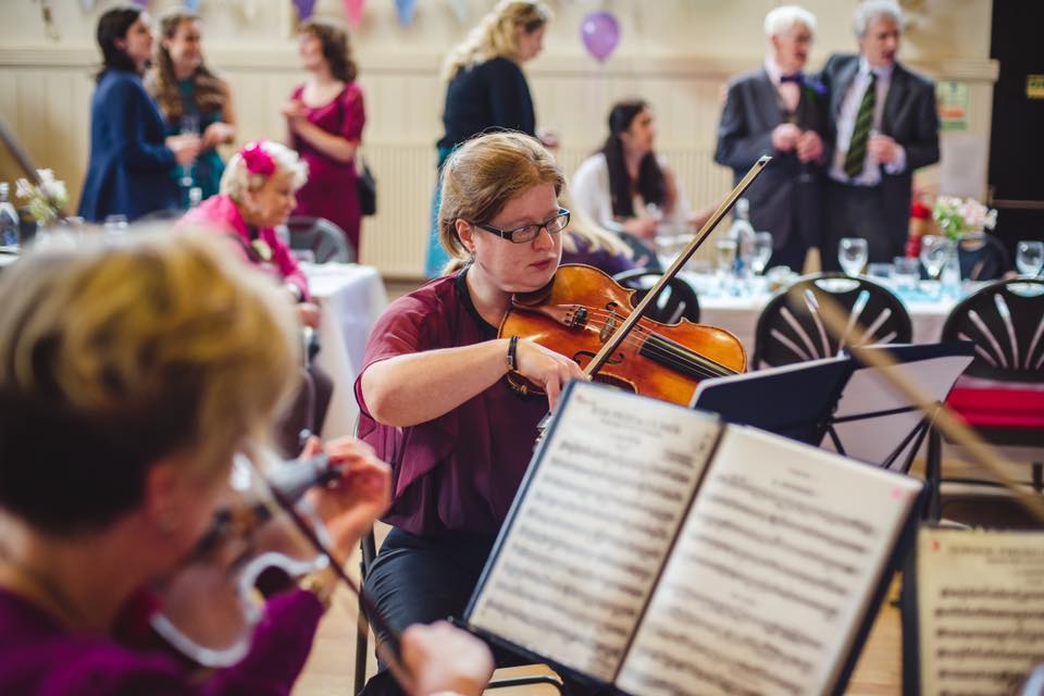 Forest String Quartet