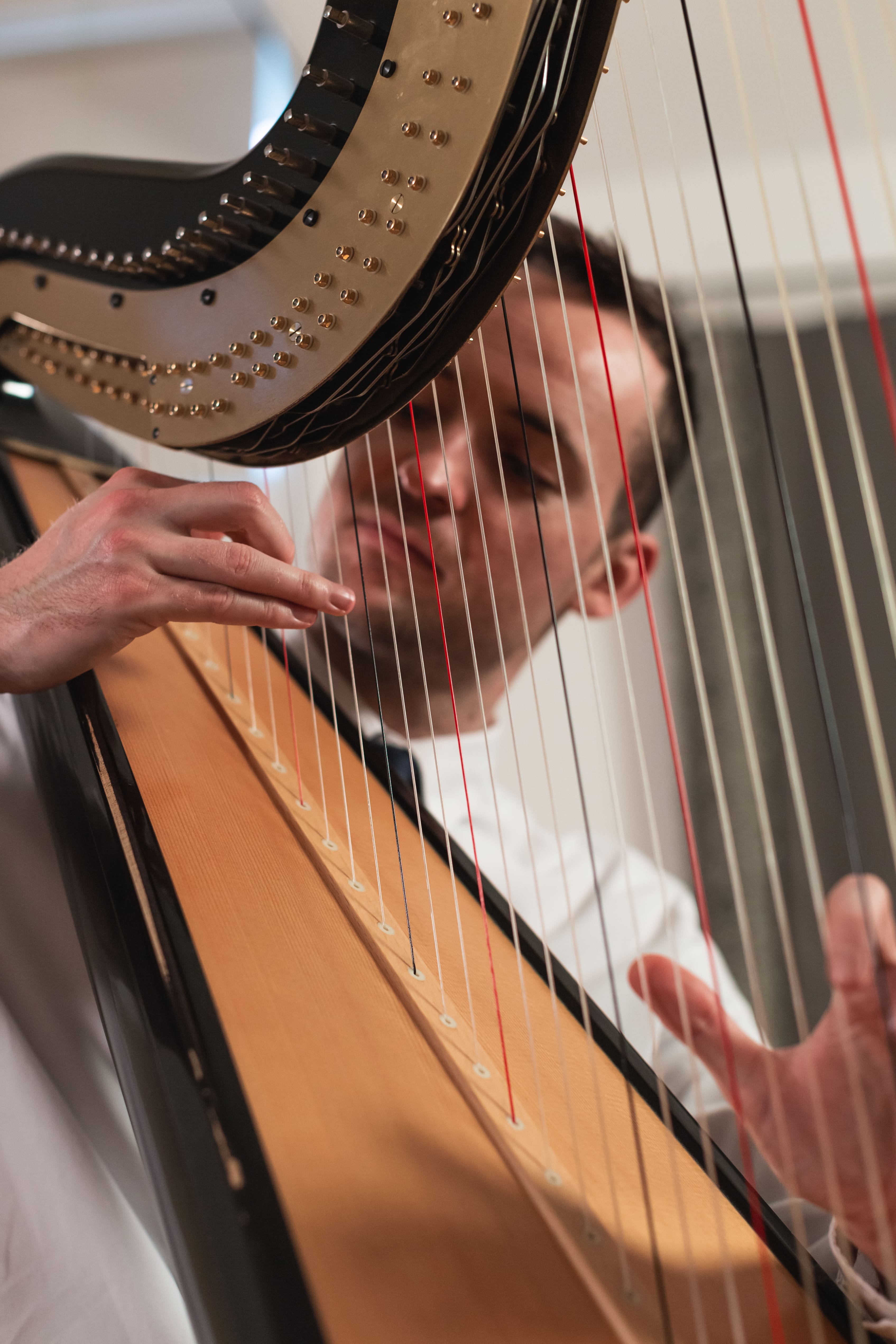 Evan Harpist