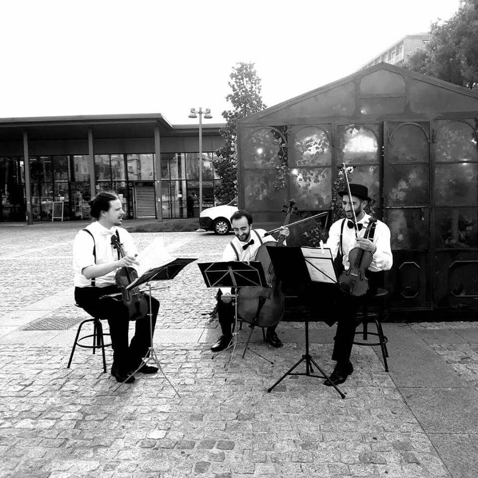 The Milan String Group