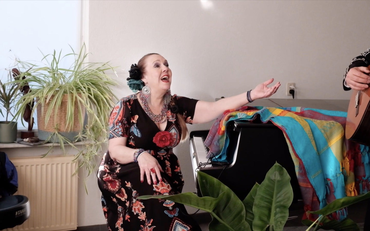 The Holland Mariachi Band