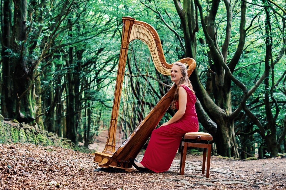 The Derbyshire Harpist
