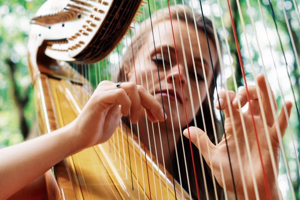 The Derbyshire Harpist