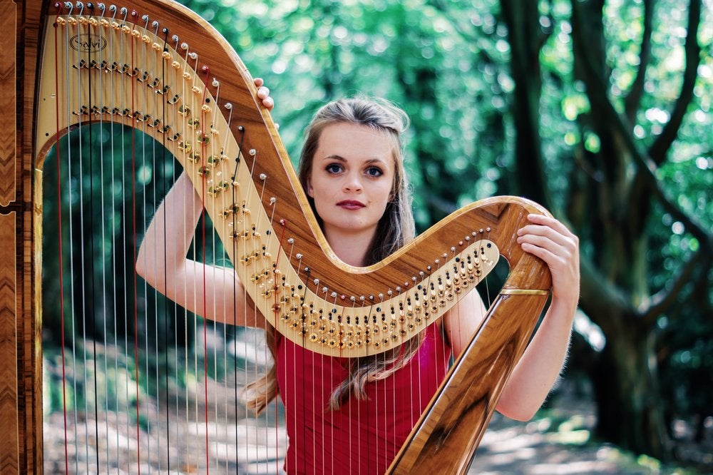 The Derbyshire Harpist