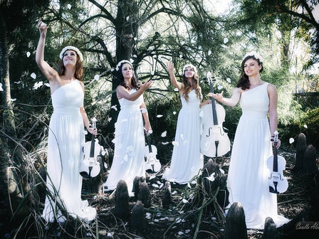 The Nice String Quartet