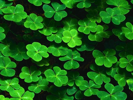 The London Irish Band