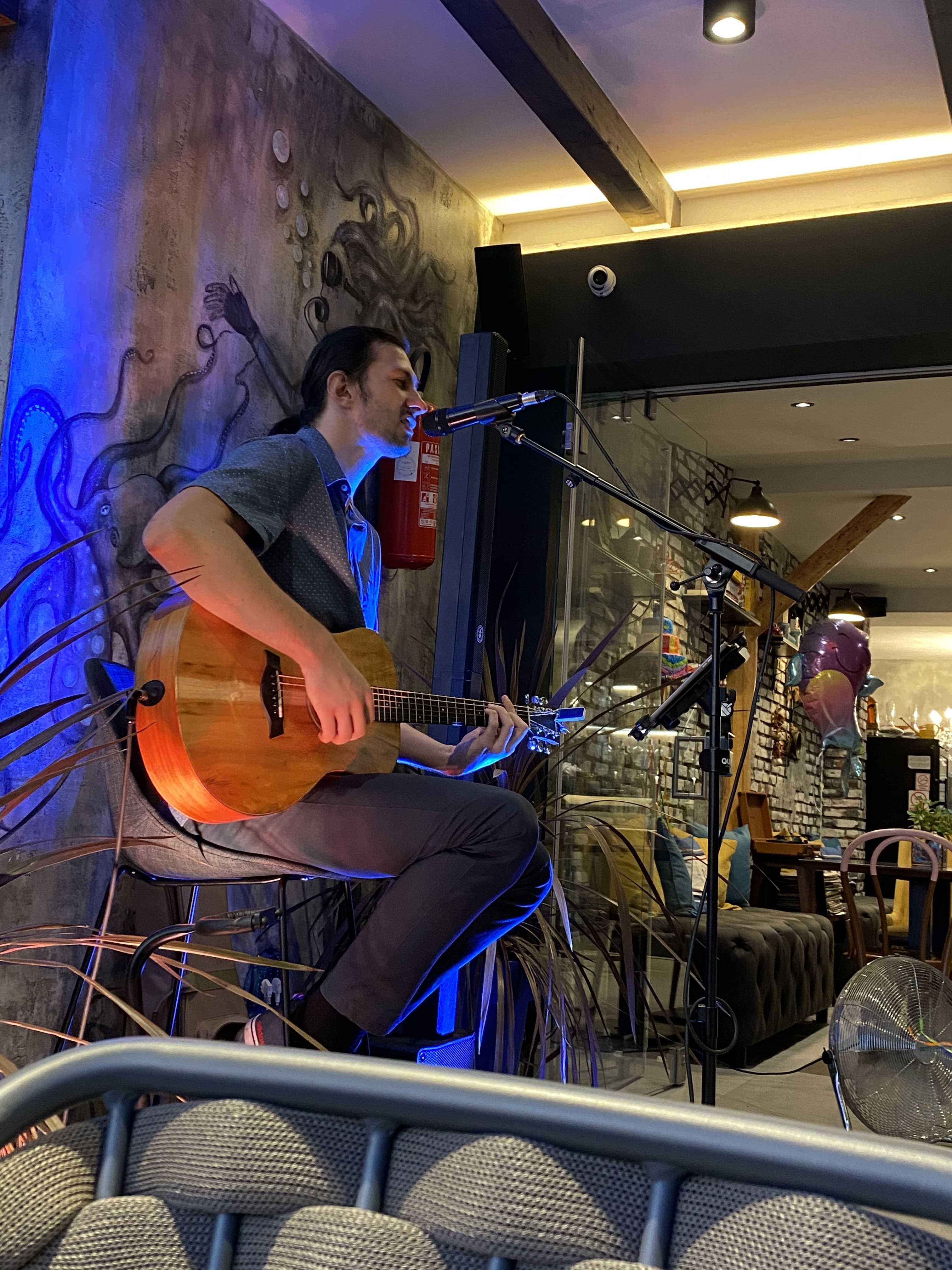 The Croatia Wedding Singer