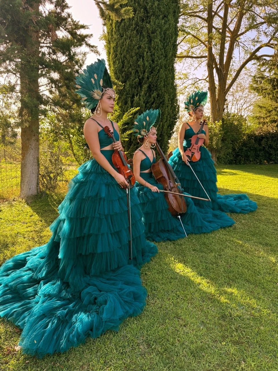 The Italy String Quartet