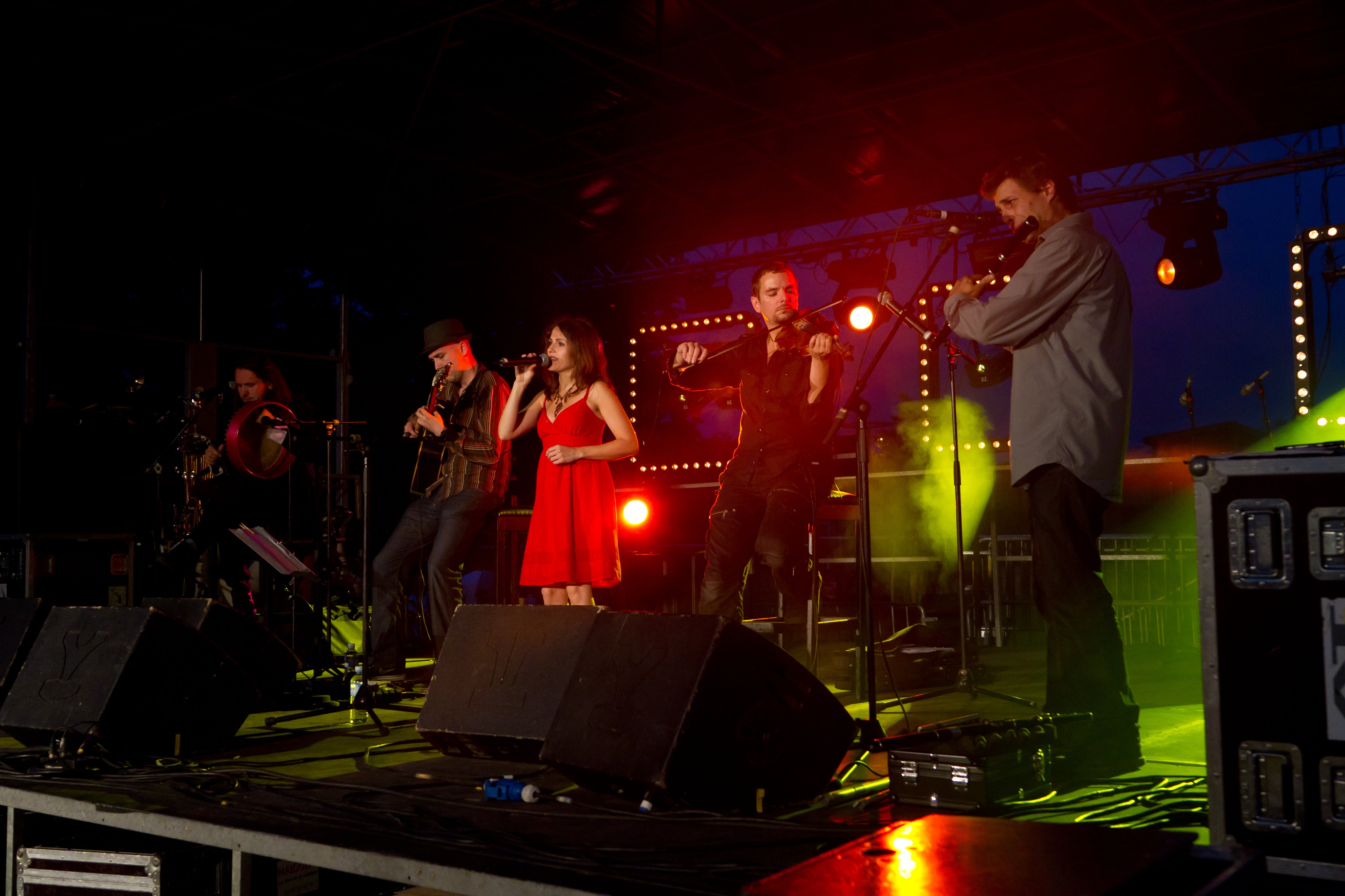 The Paris Irish Band