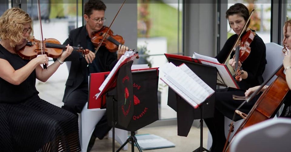 The Cardiff String Quartet