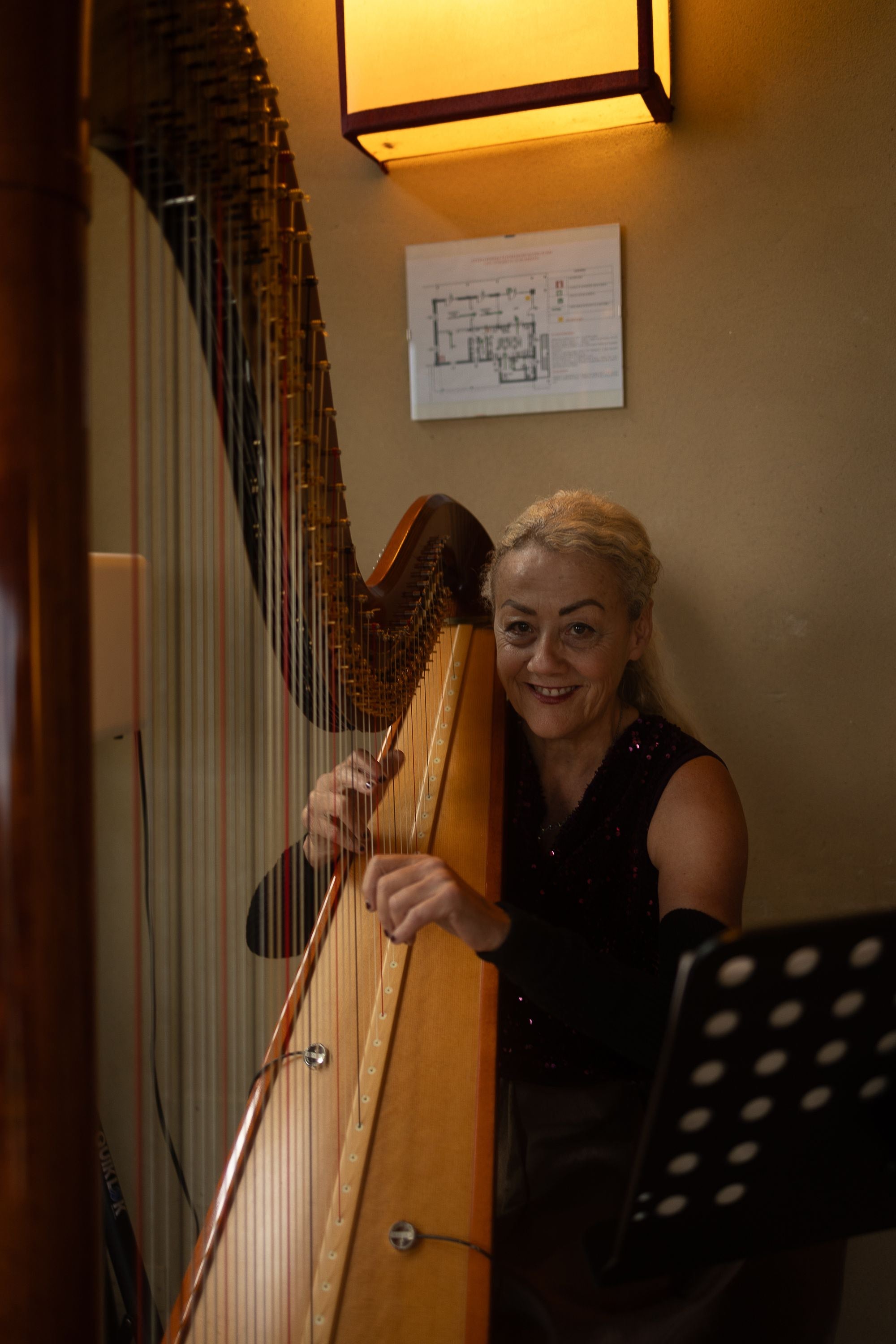 The Siena Harpist & Singer