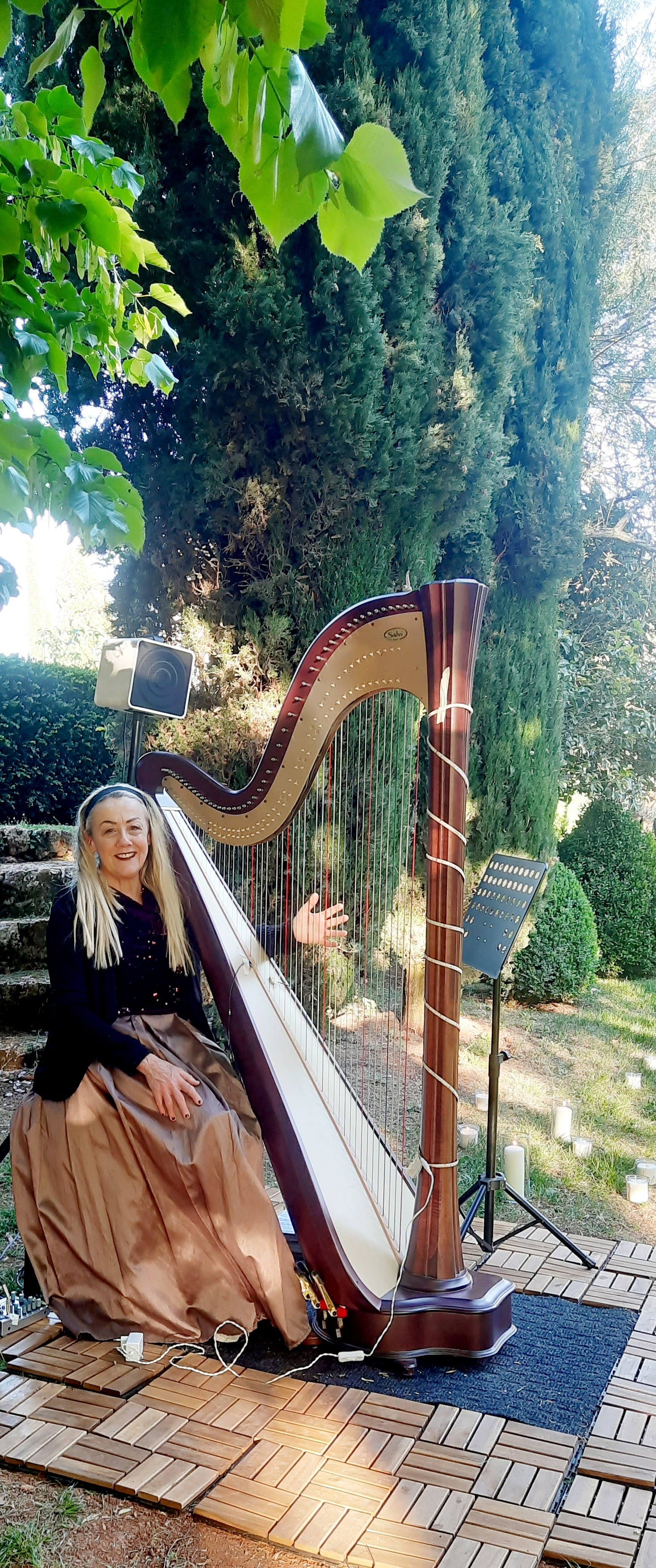 The Siena Harpist & Singer