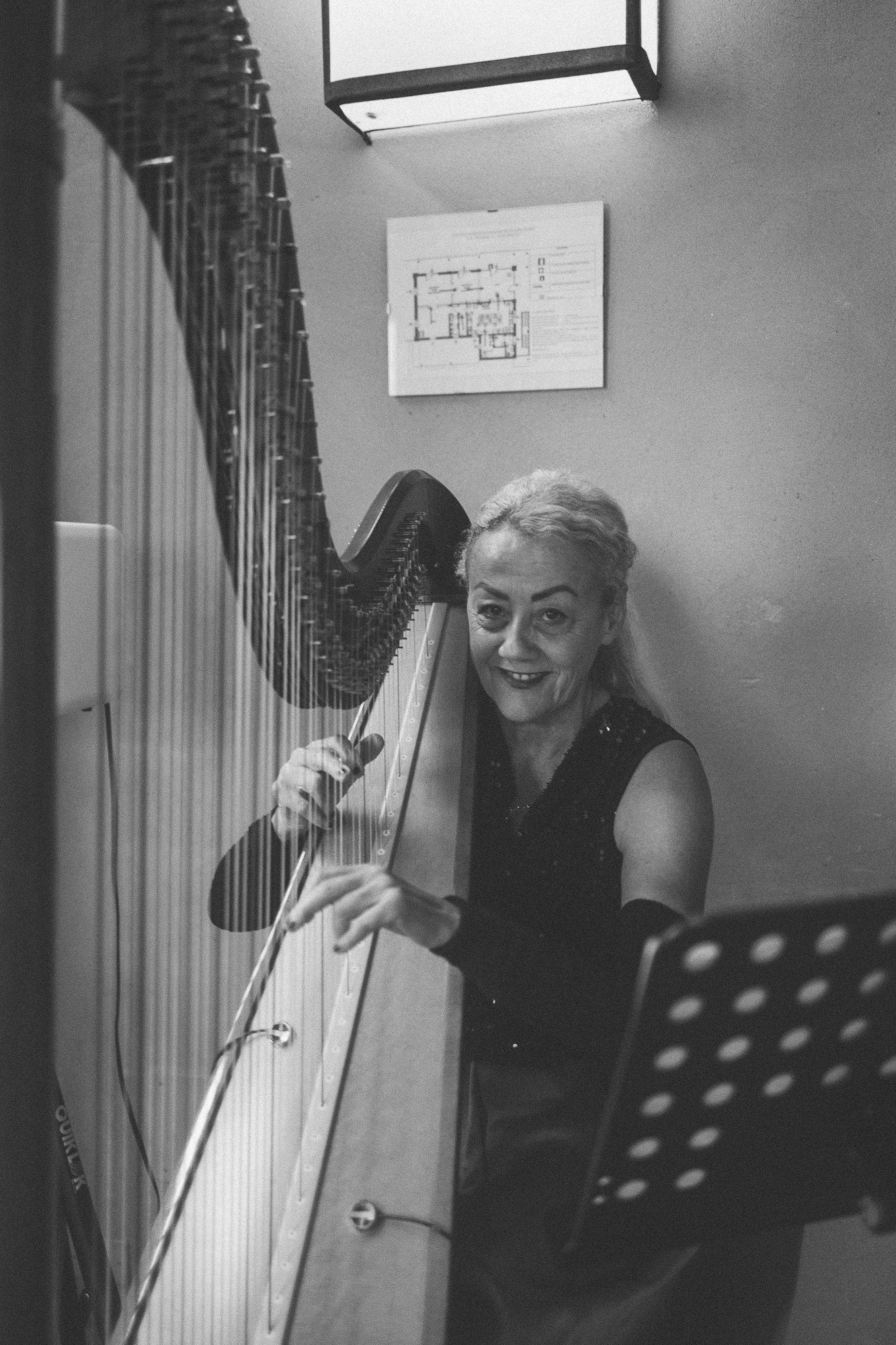 The Siena Harpist & Singer