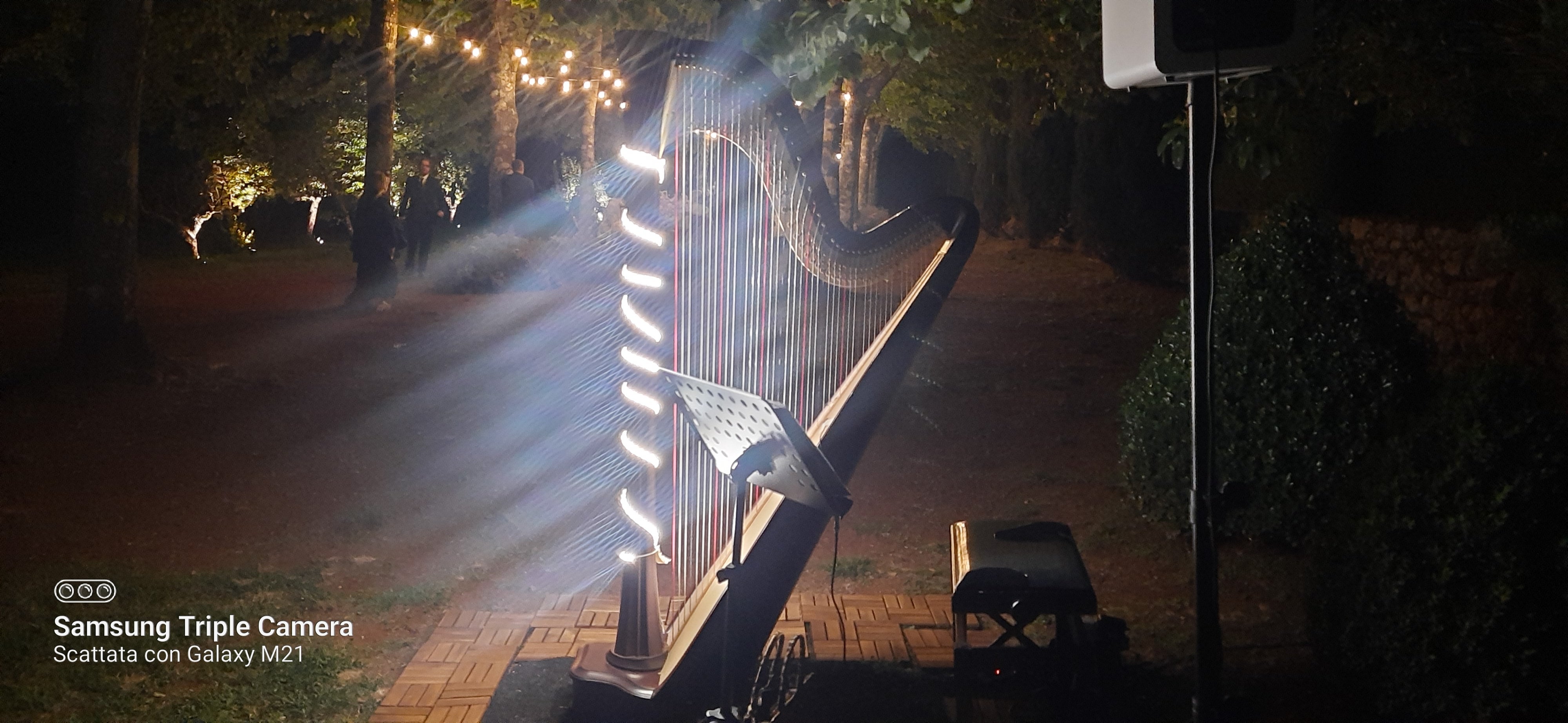 The Siena Harpist & Singer