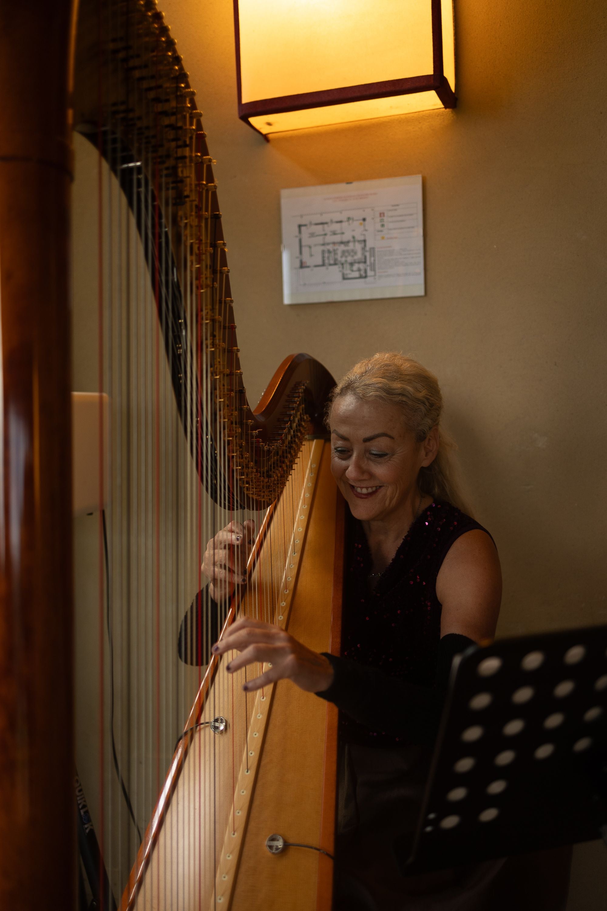 The Siena Harpist & Singer