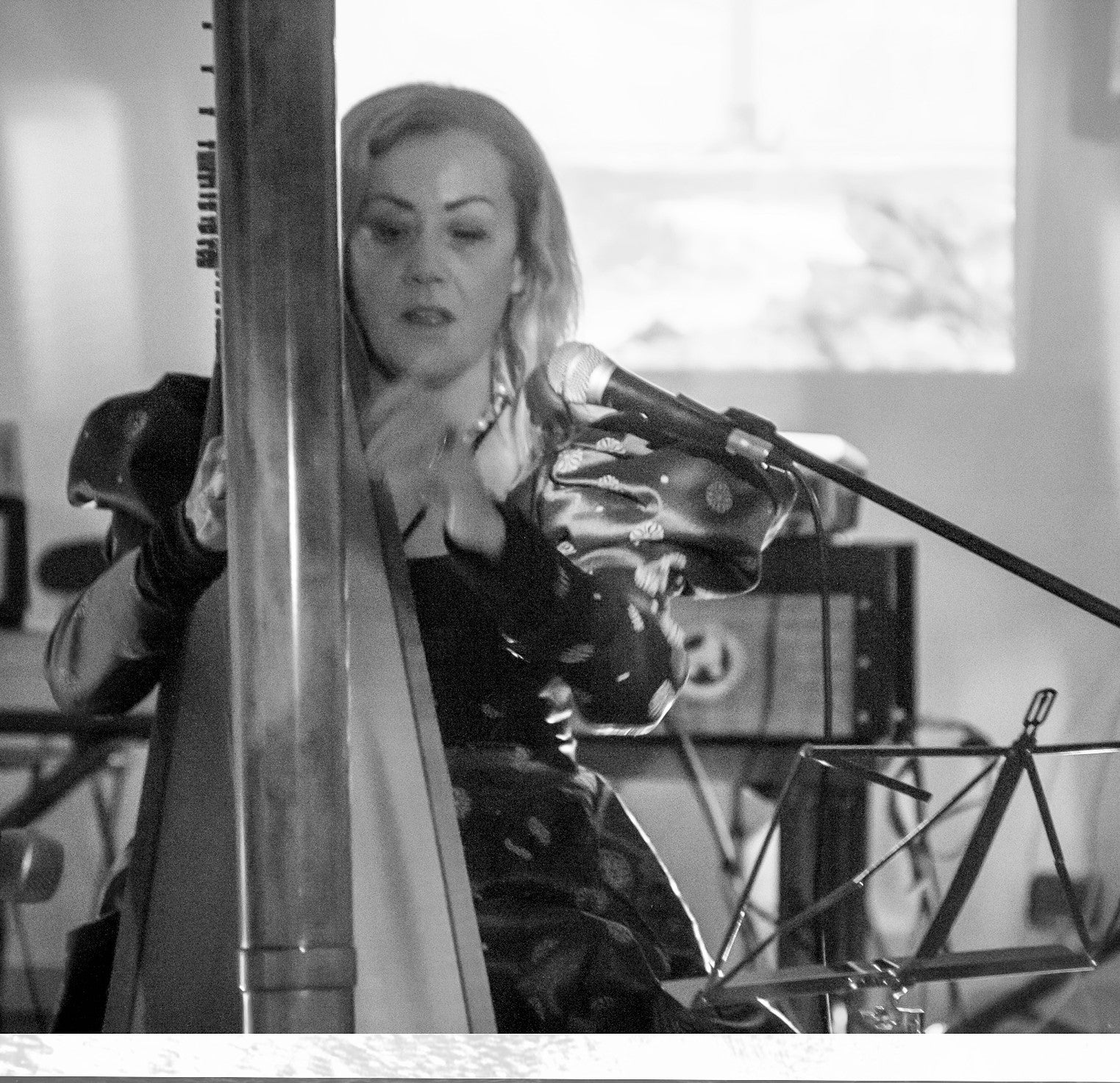 The Siena Harpist & Singer