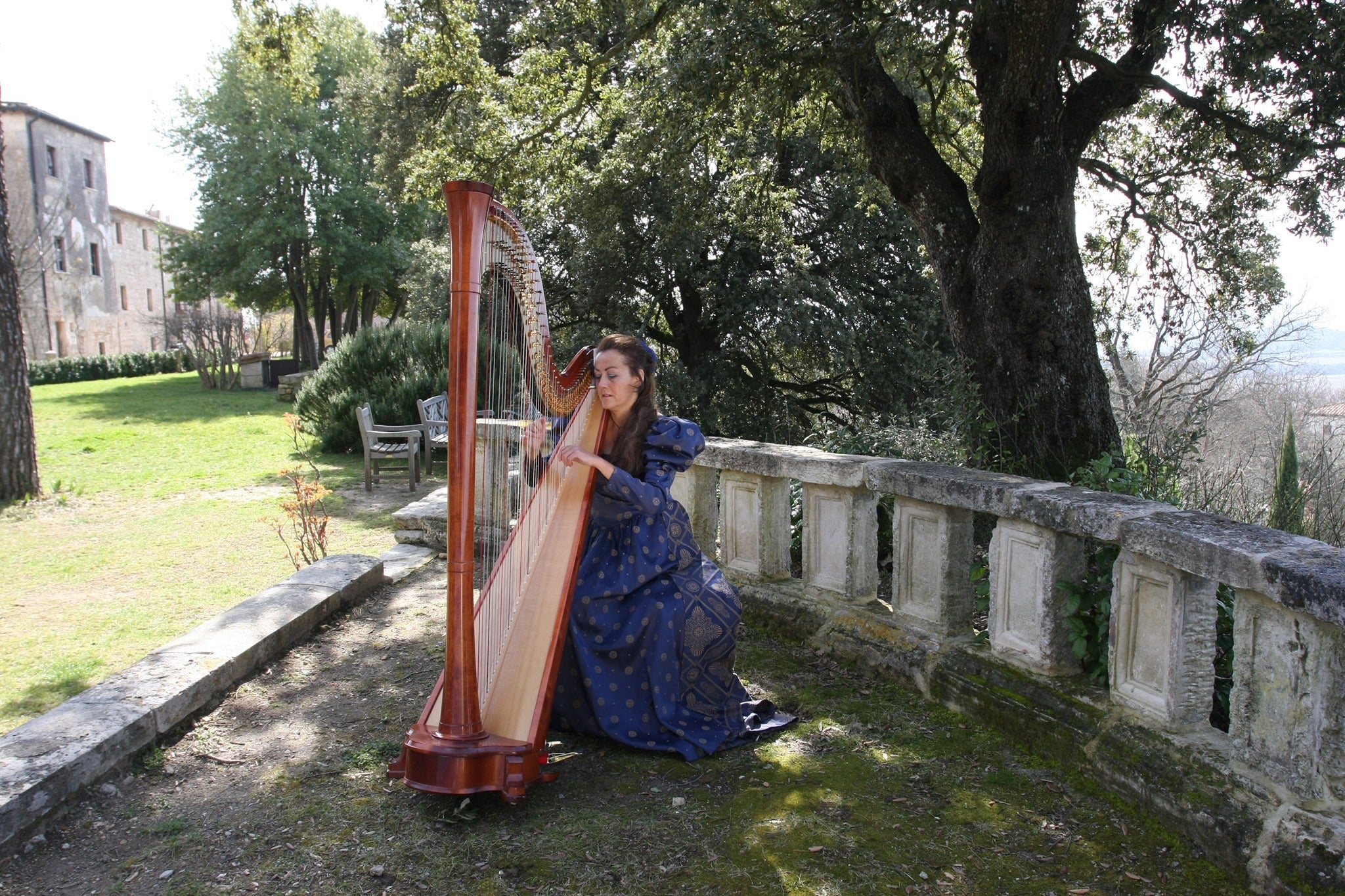 The Siena Harpist & Singer
