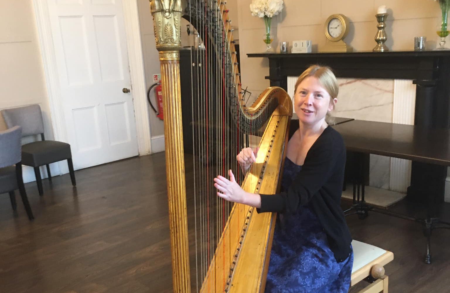 The Cornwall Wedding Harpist