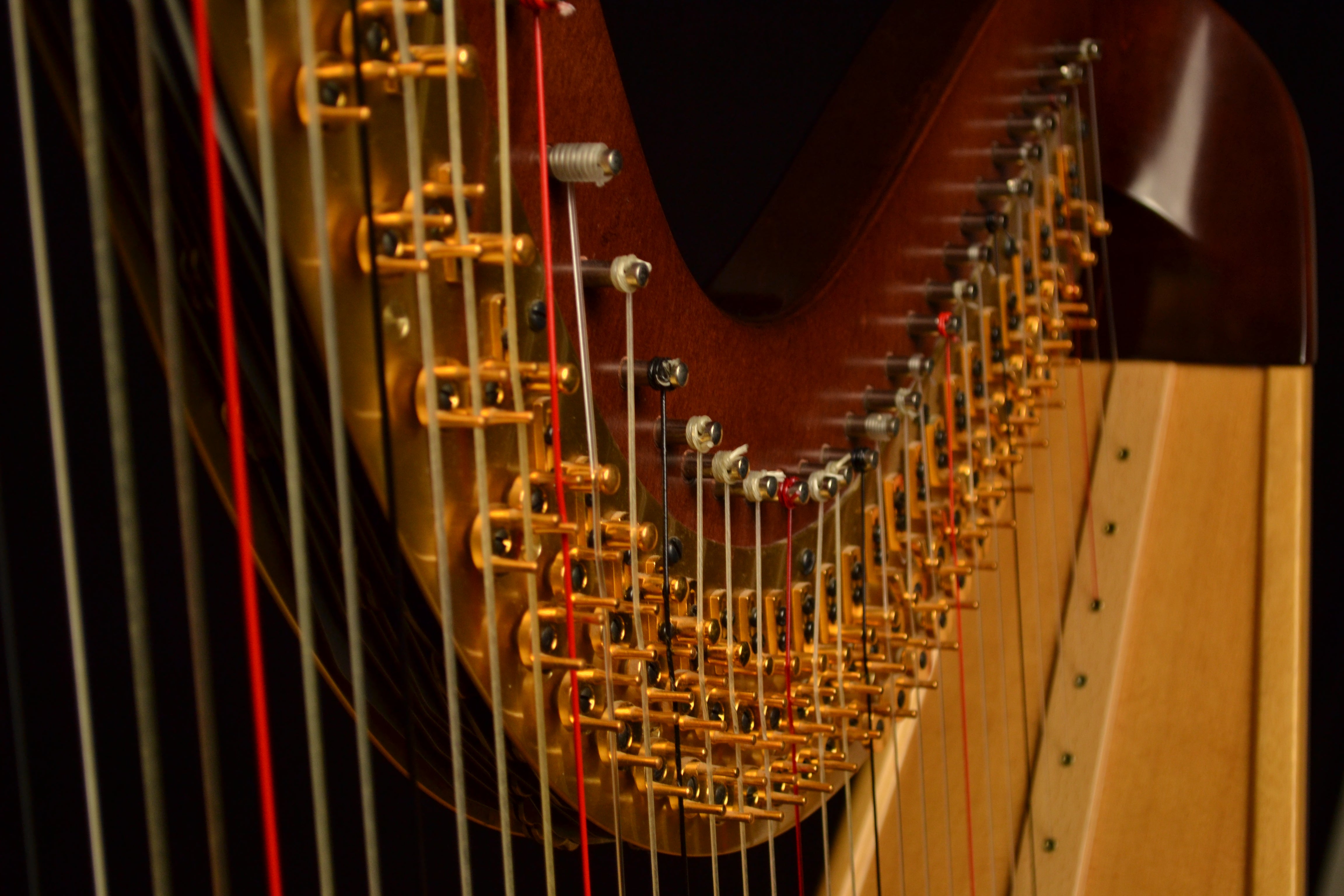 The Cornwall Wedding Harpist