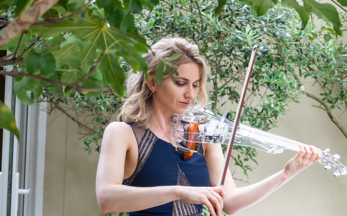 Party Violinist & DJ