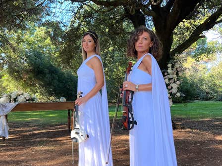 The Two Violins