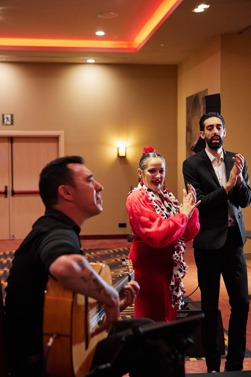 The Flamenco Dancers