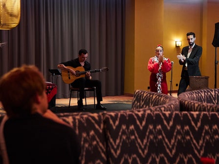 The Flamenco Dancers