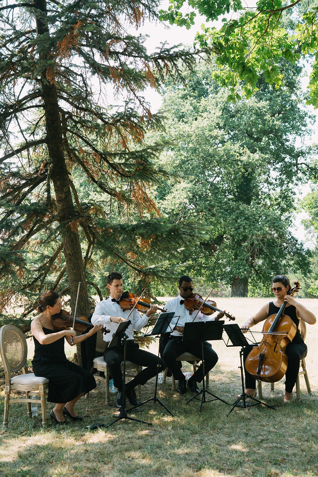 The Bordeaux String Quartet