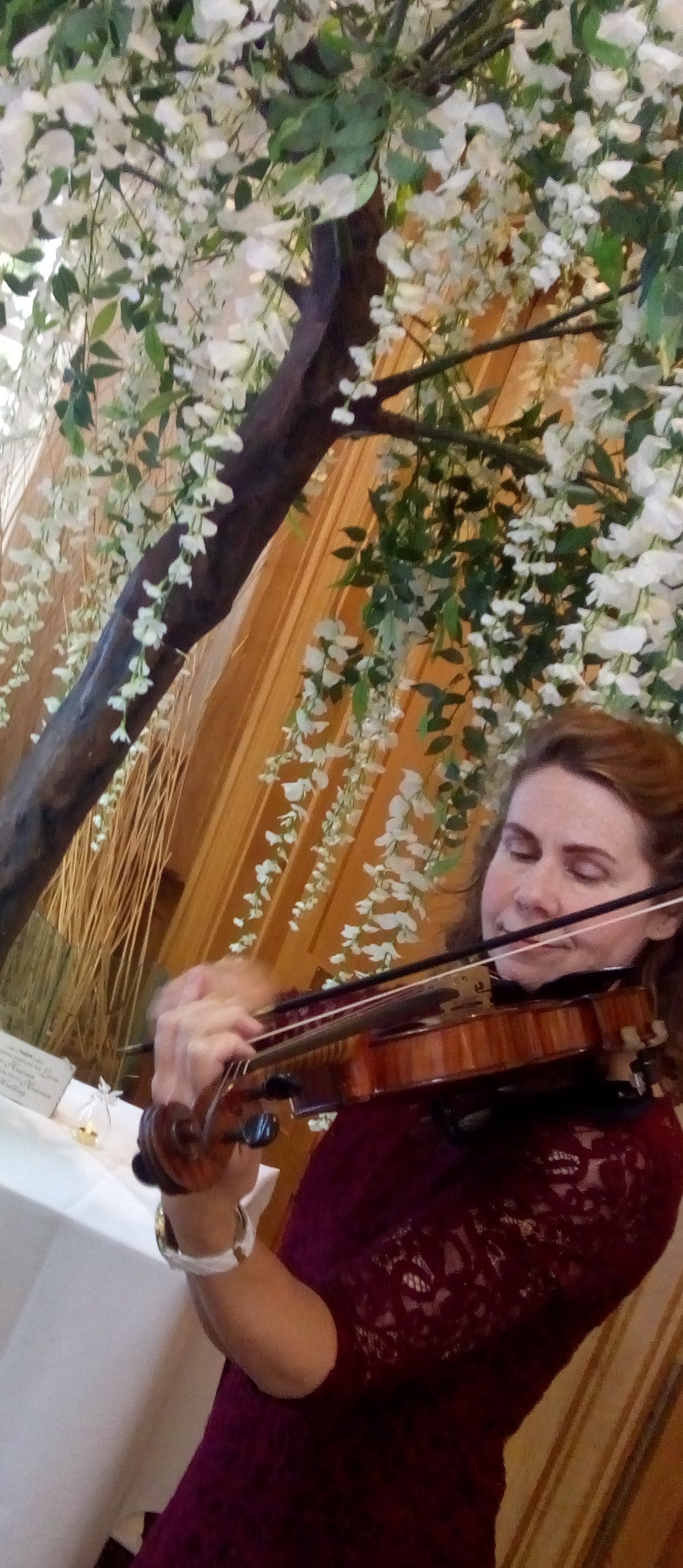 The Cumbria String Quartet