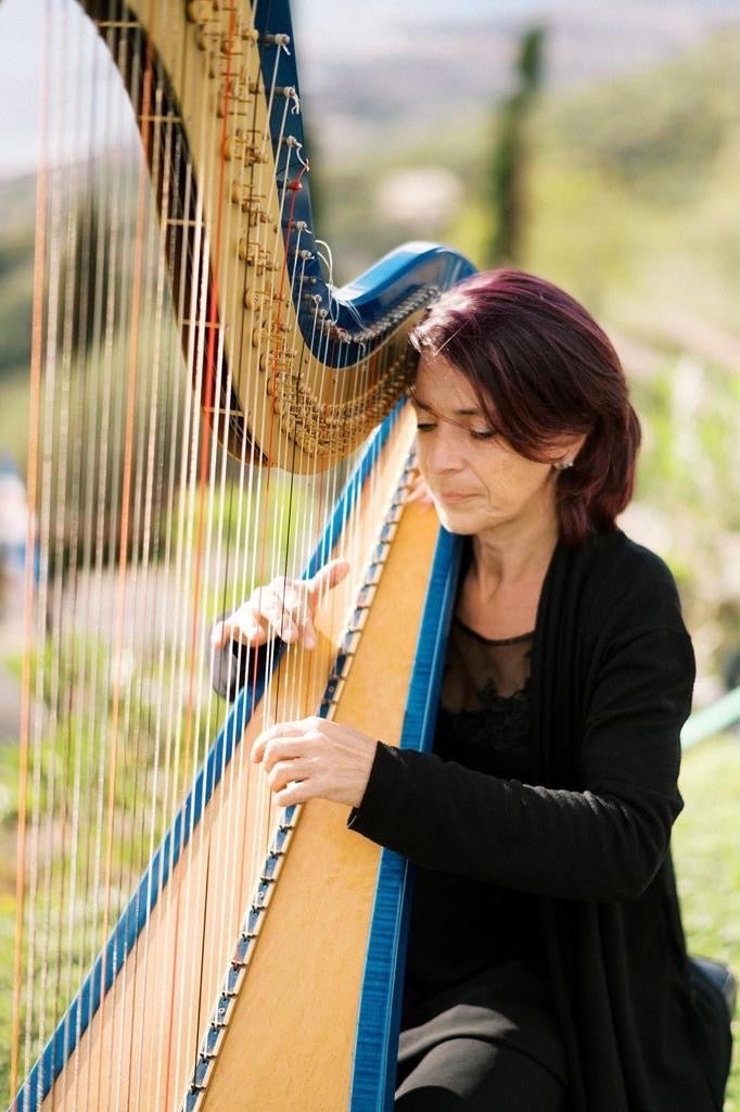 The Milan Harpist