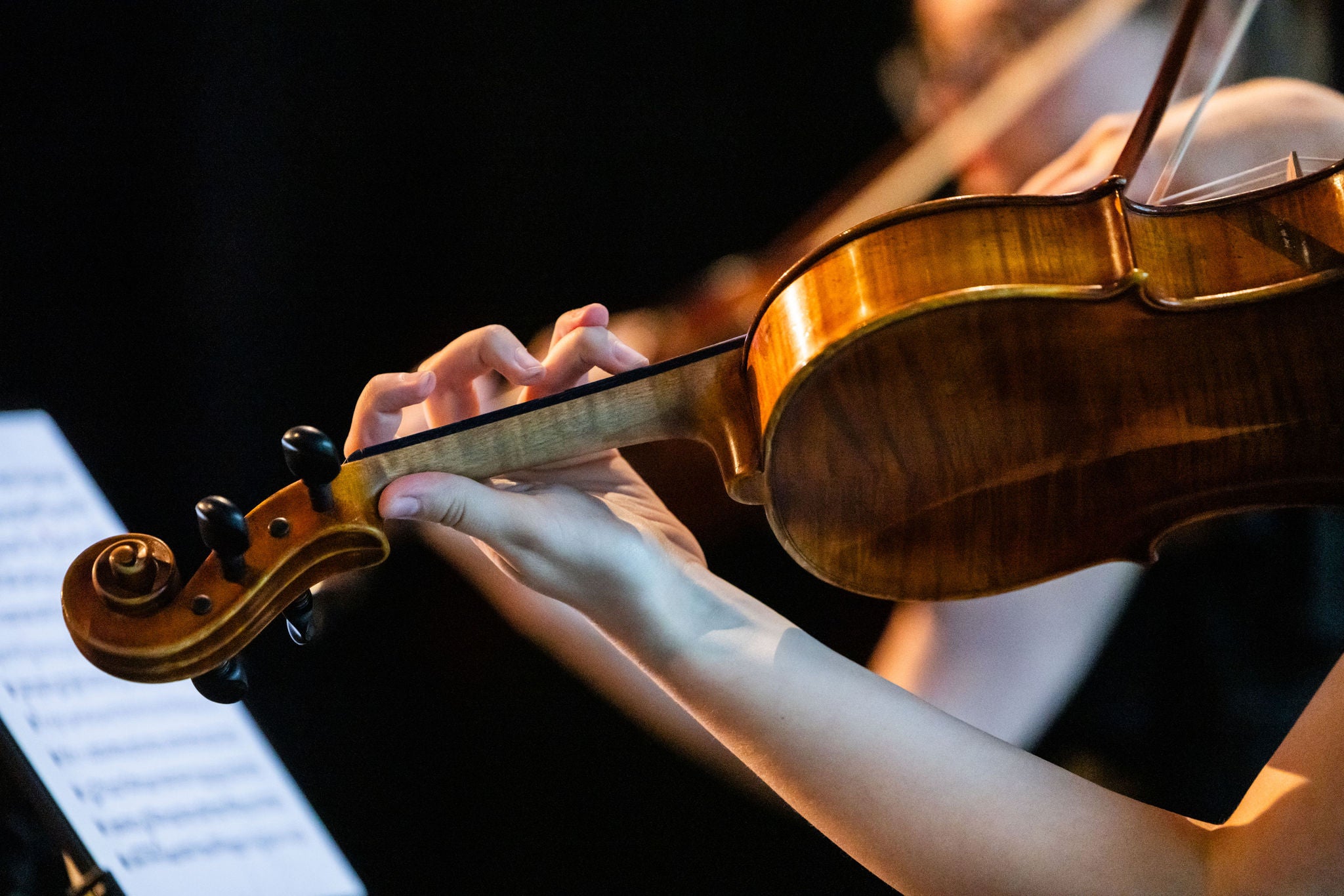 Sweden String Quartet