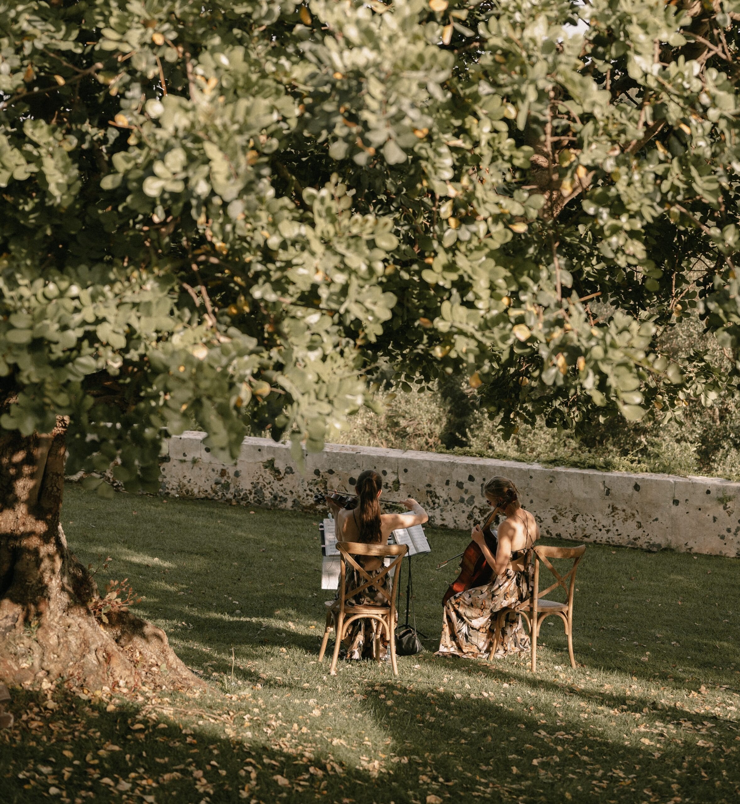 Strings & Piano Collective