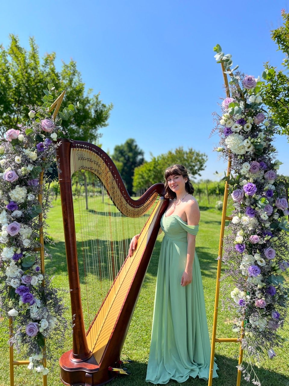 Aurora Harp