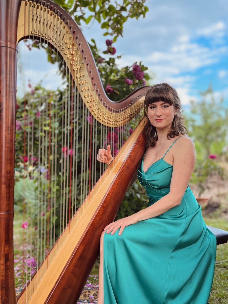 Aurora Harp