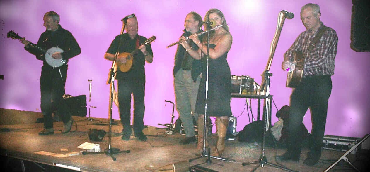 The Manchester Irish Band