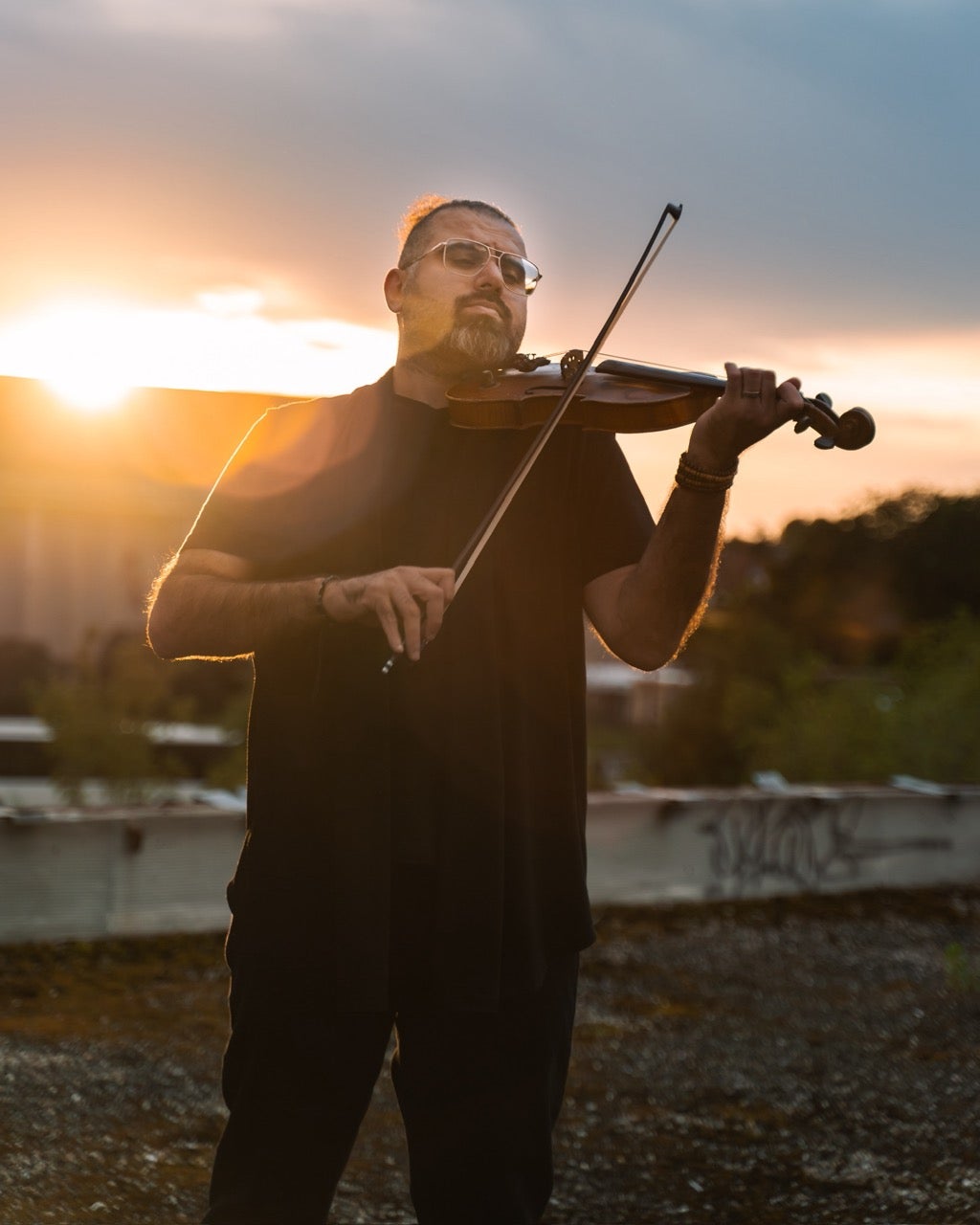 The Strasbourg Violinist
