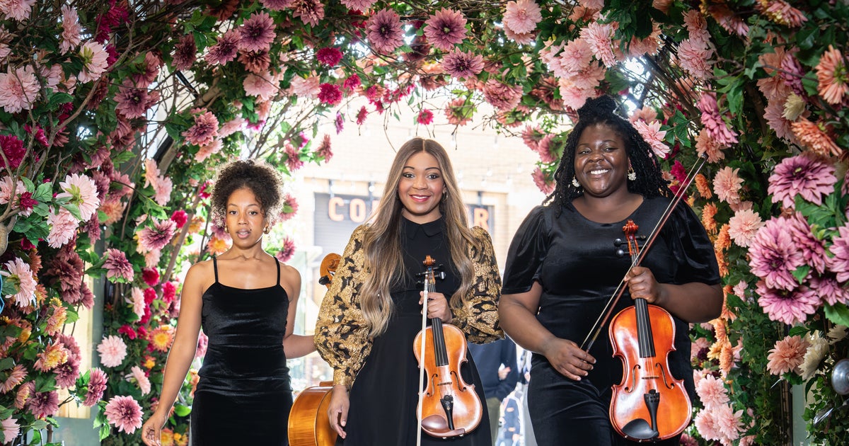 String Group Book The Mayfair Strings, String Group in London, UK - FixTheMusic