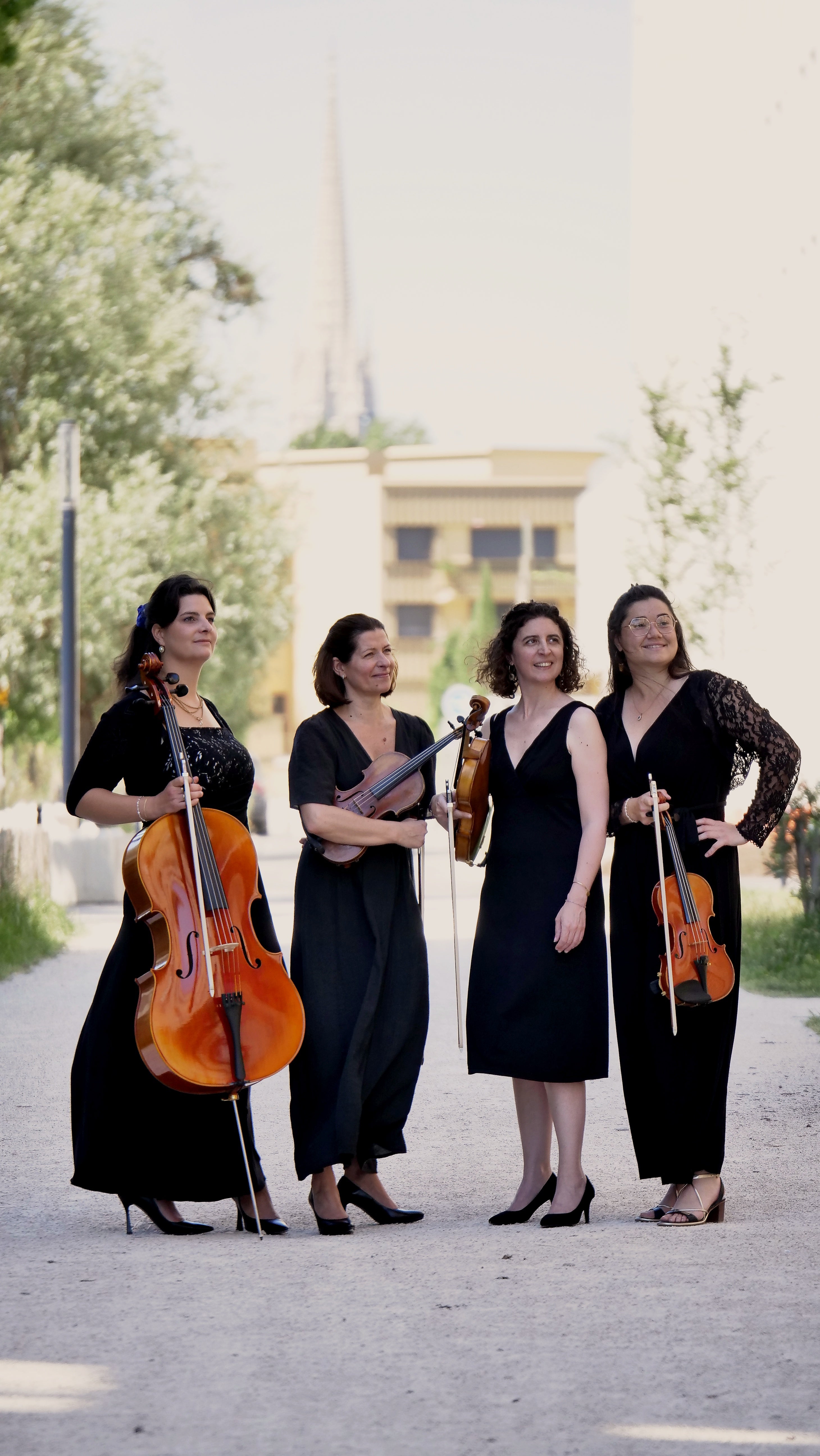 Maison Strings