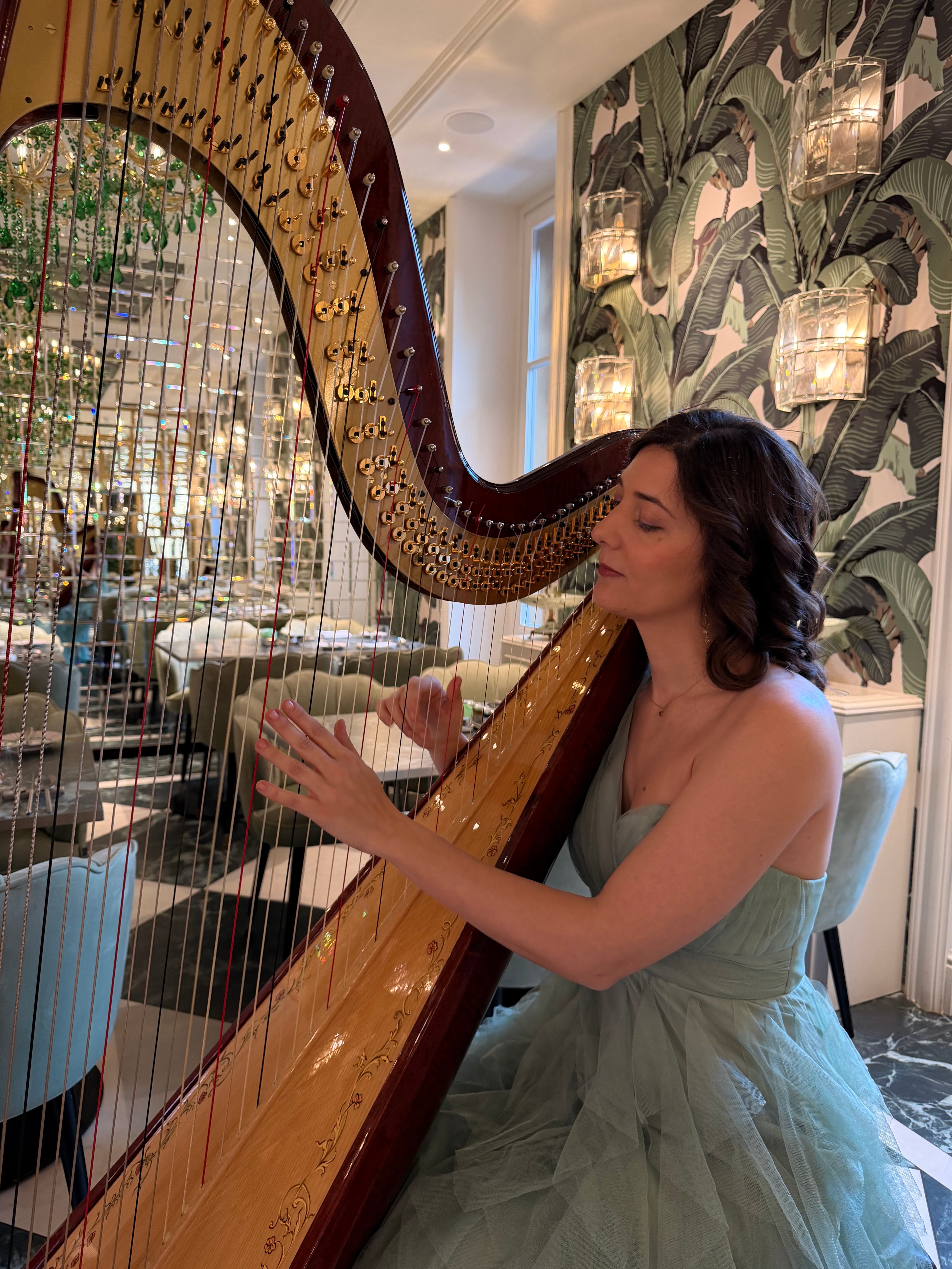 Celeste Harp