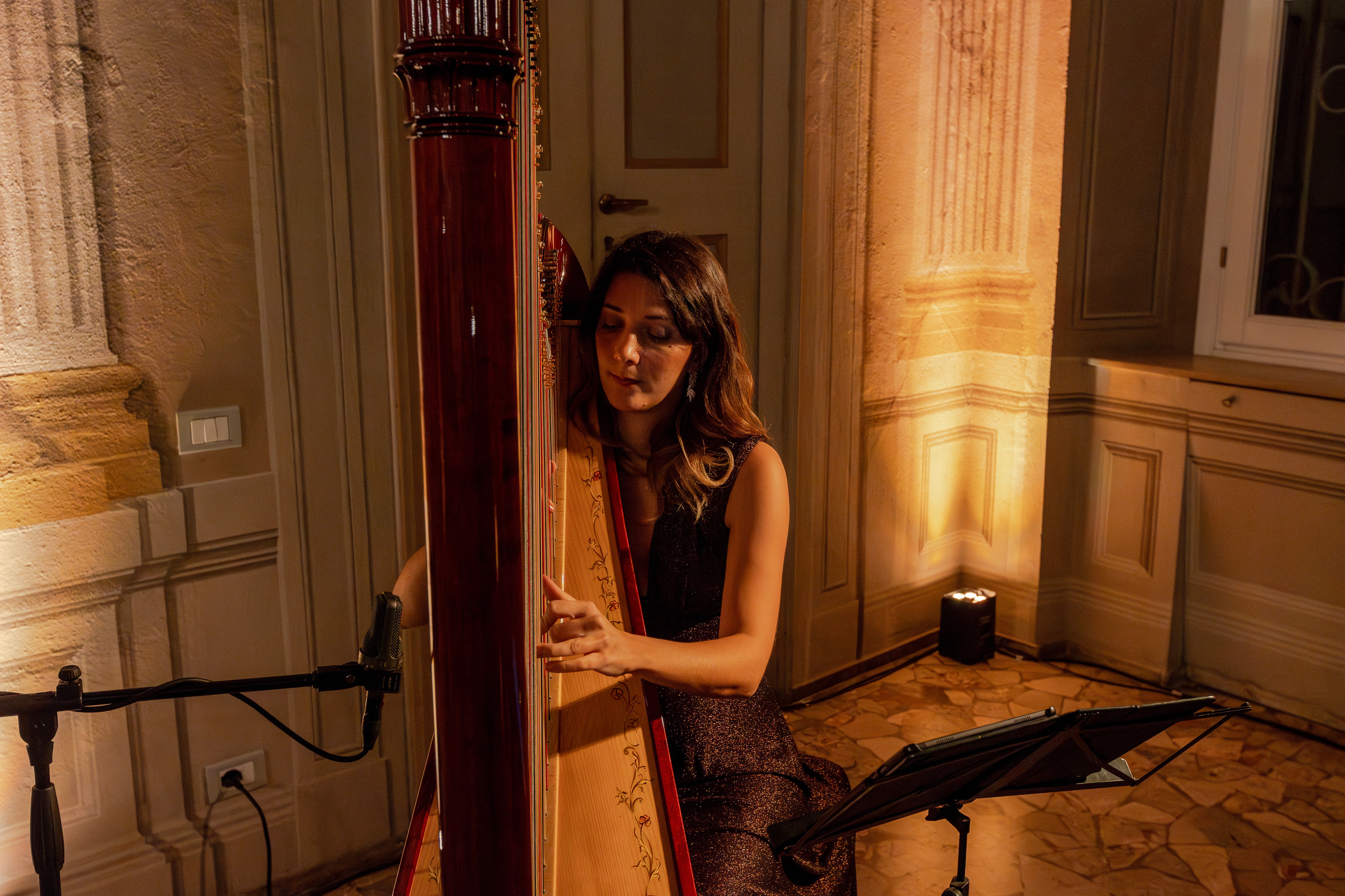Celeste Harp