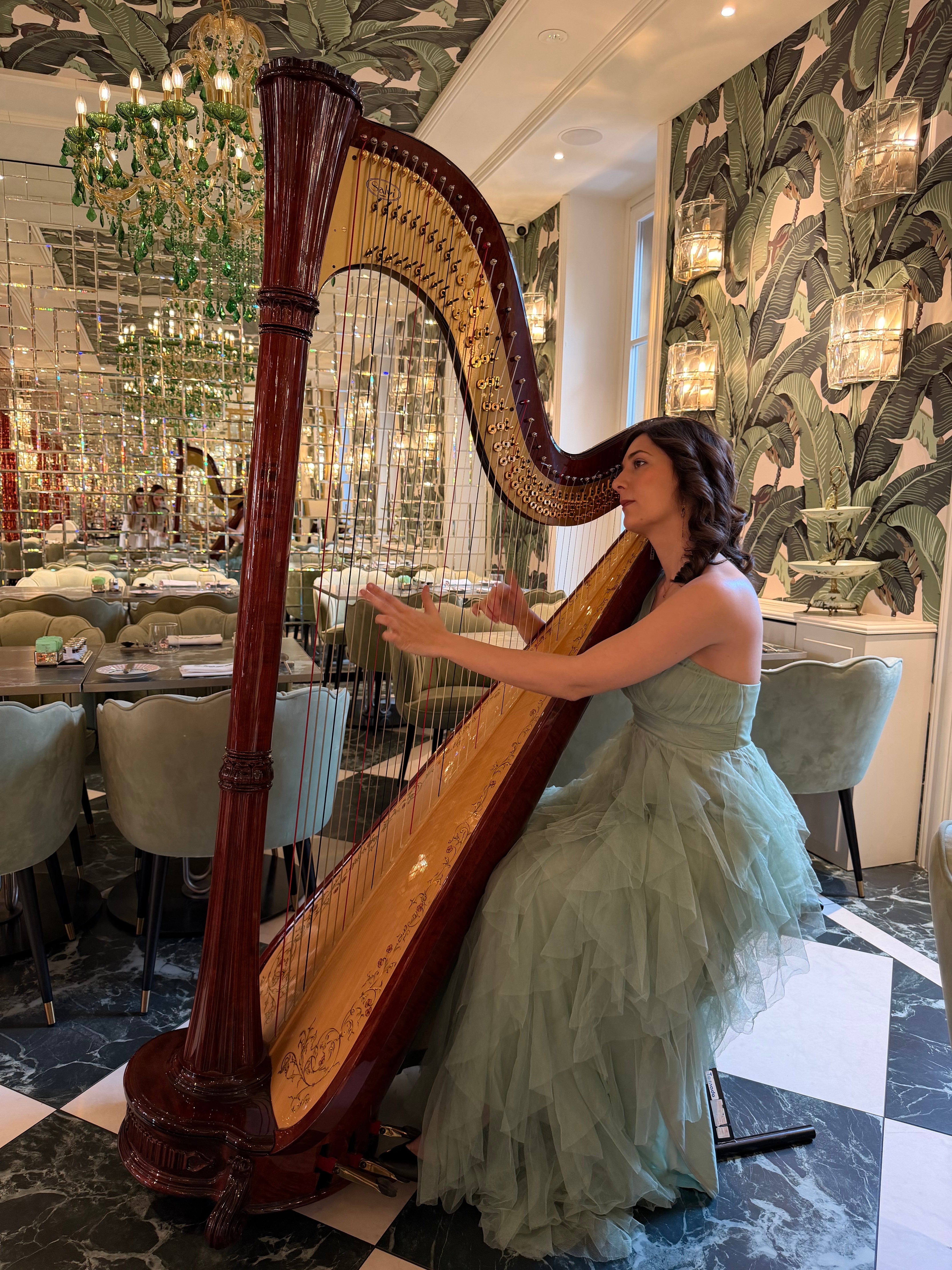 Celeste Harp