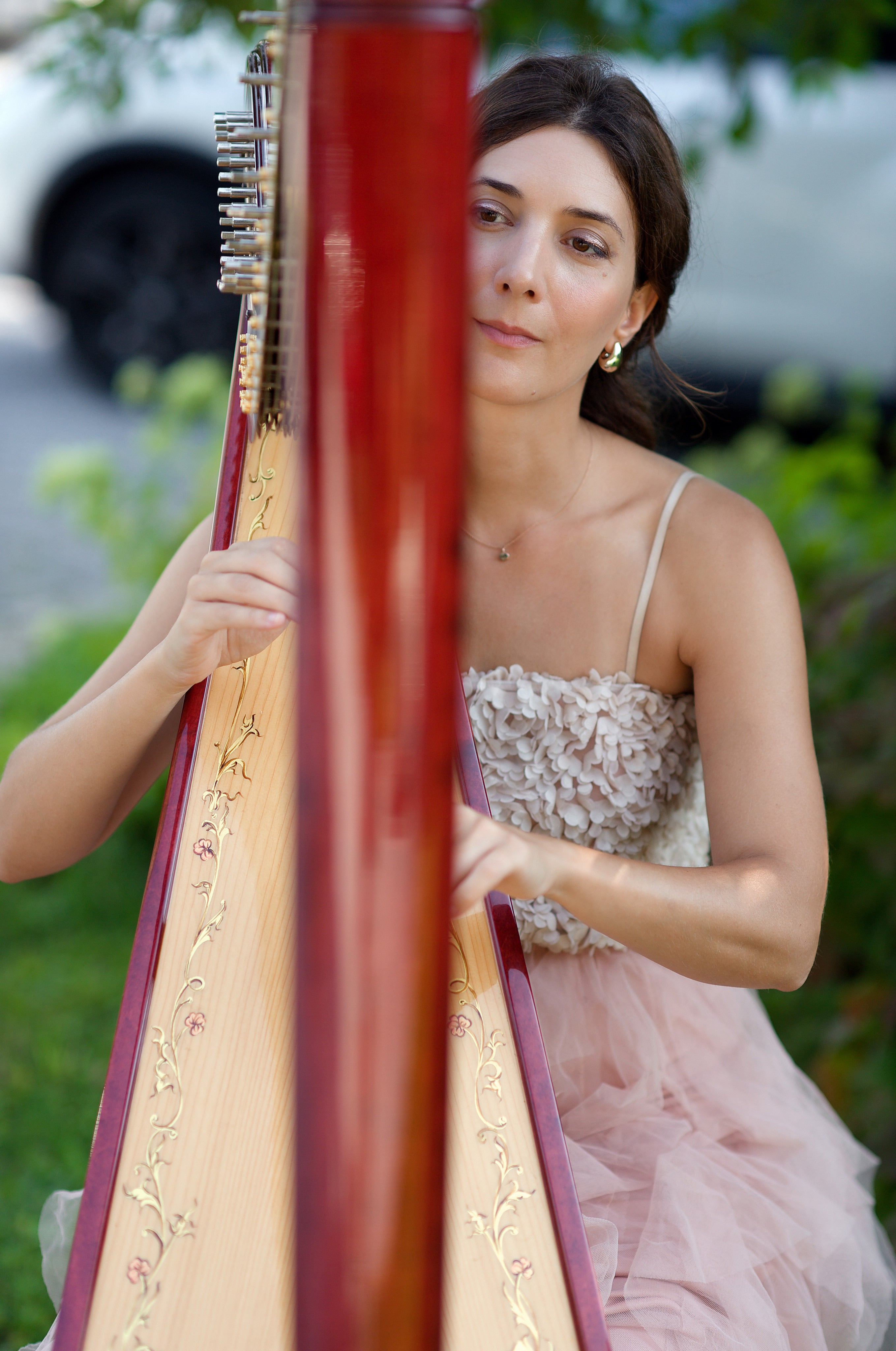 Celeste Harp