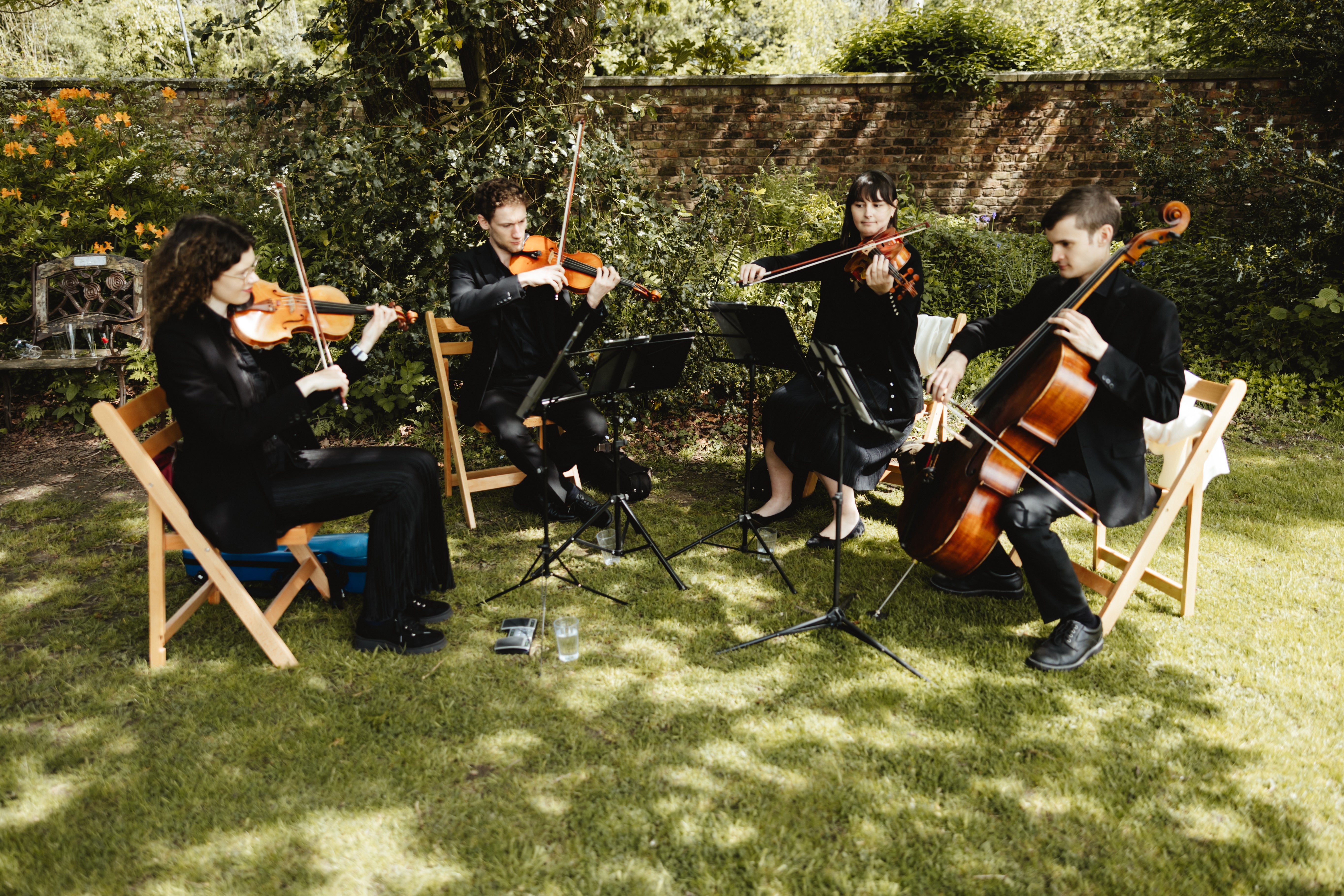 Purfling Strings