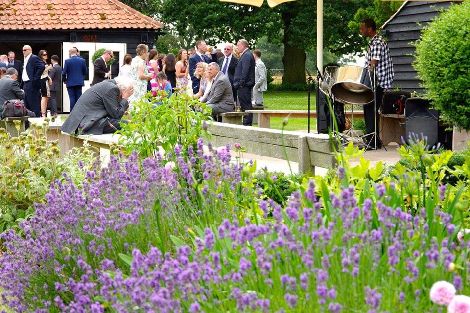 London Steel Pan Drummer