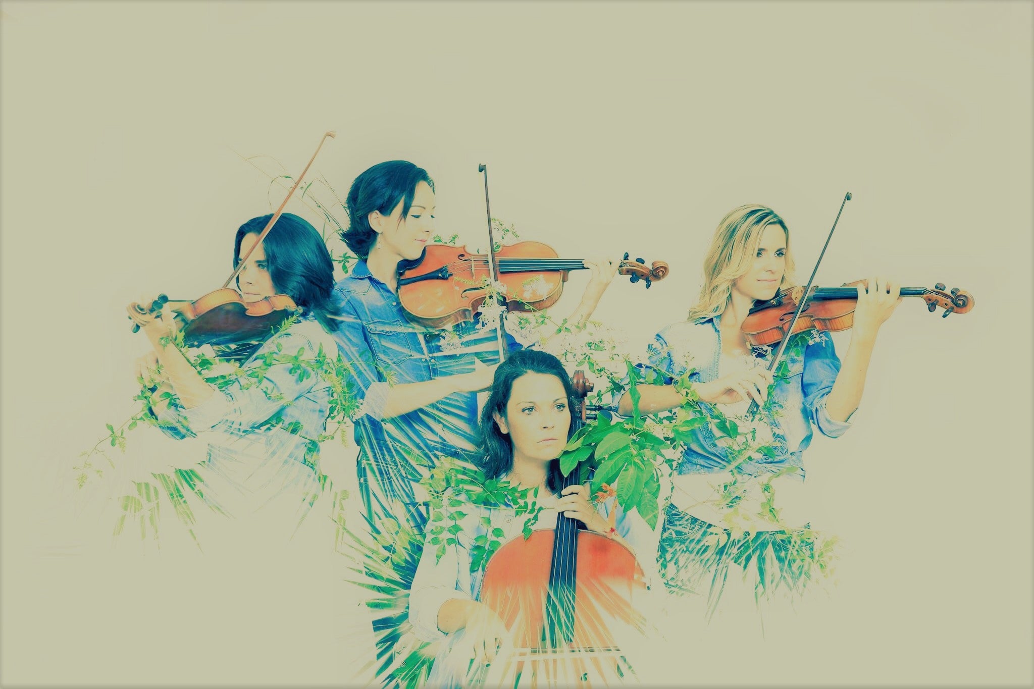 The Carcassonne String Quartet