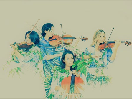 The Carcassonne String Quartet