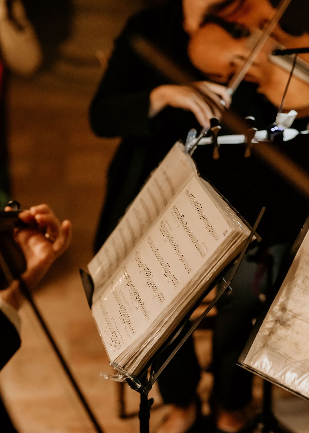 The Florence String Quartet