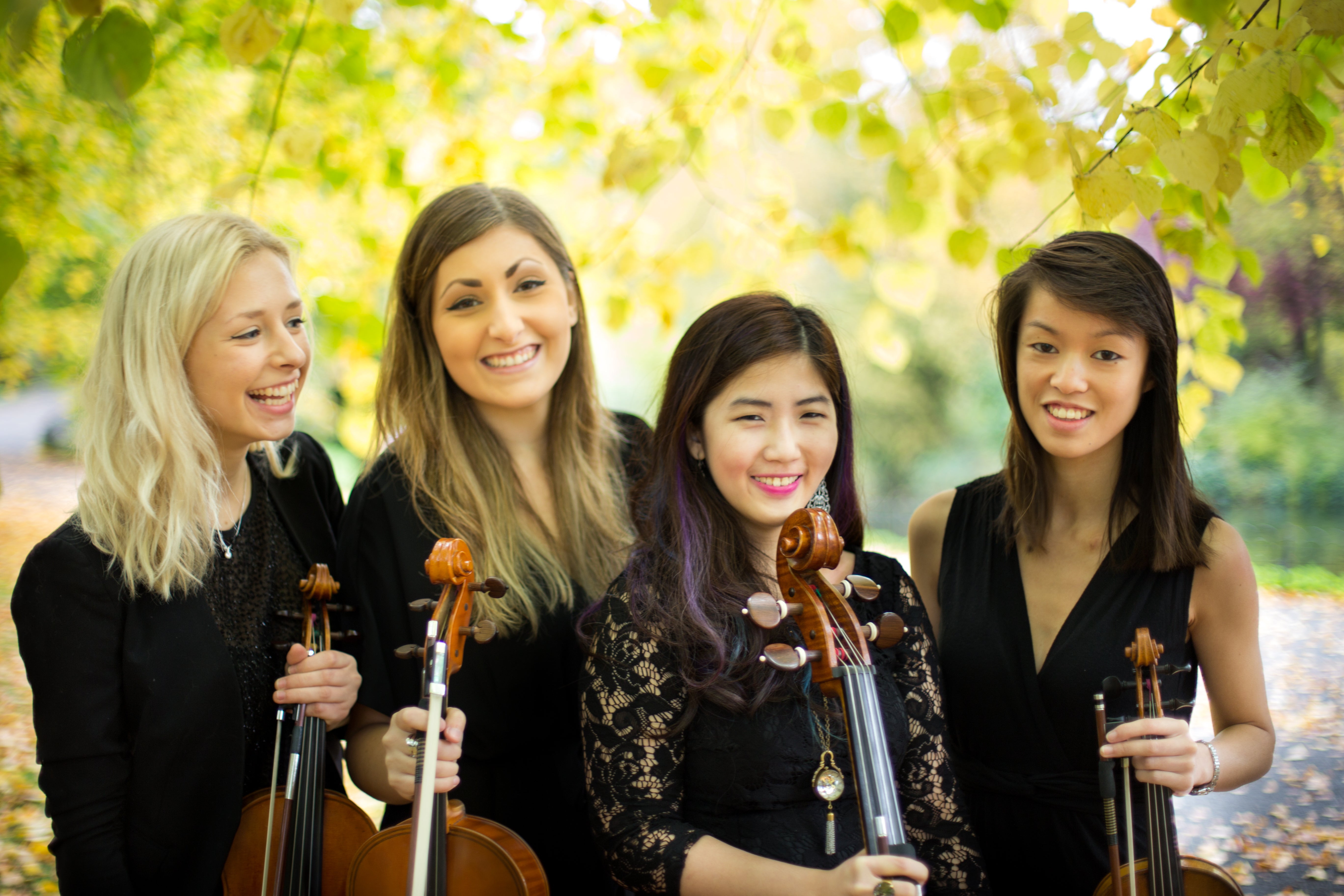 The Paragon String Quartet